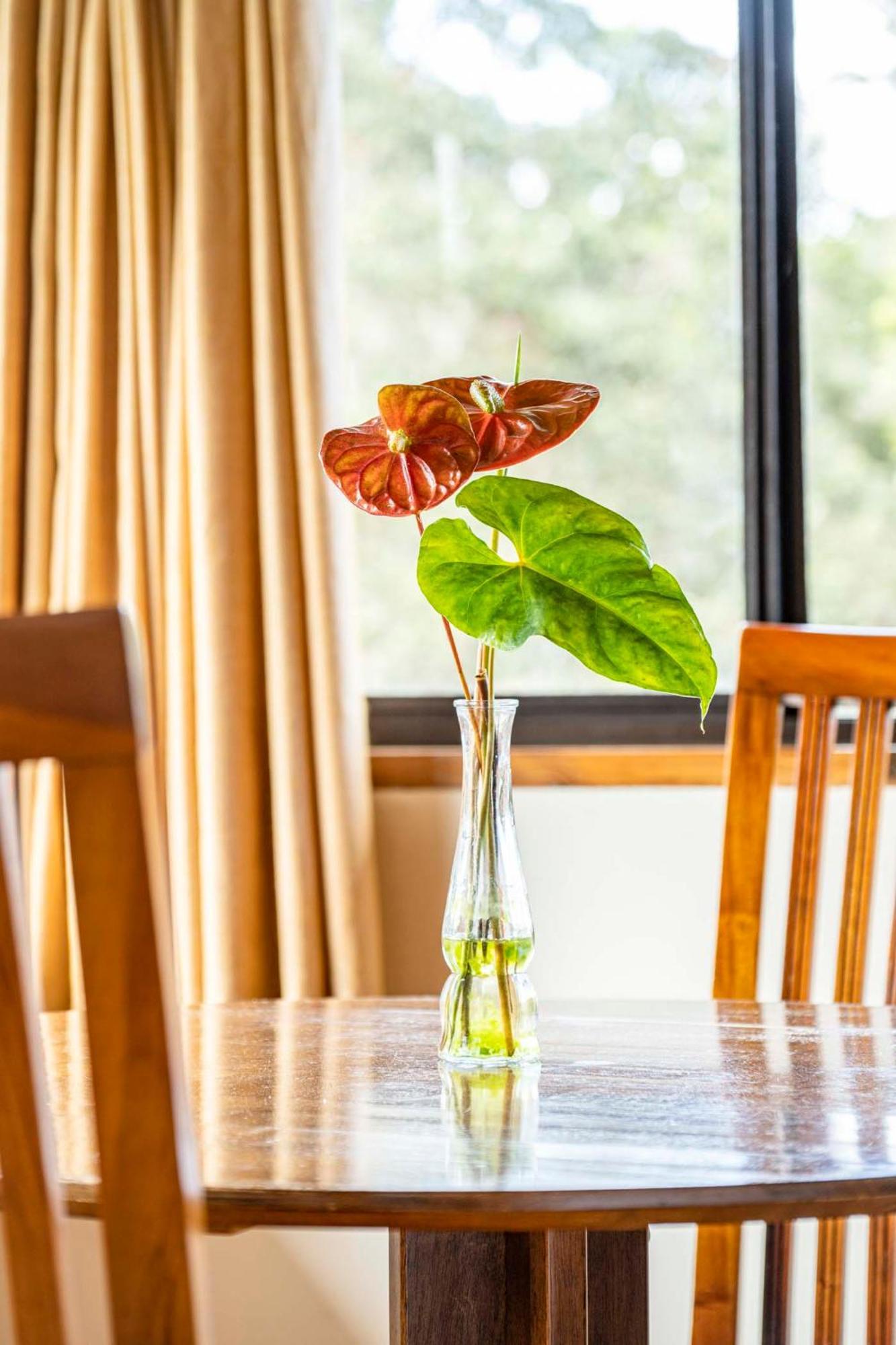 Volcano Inn Bed N Breakfast Экстерьер фото