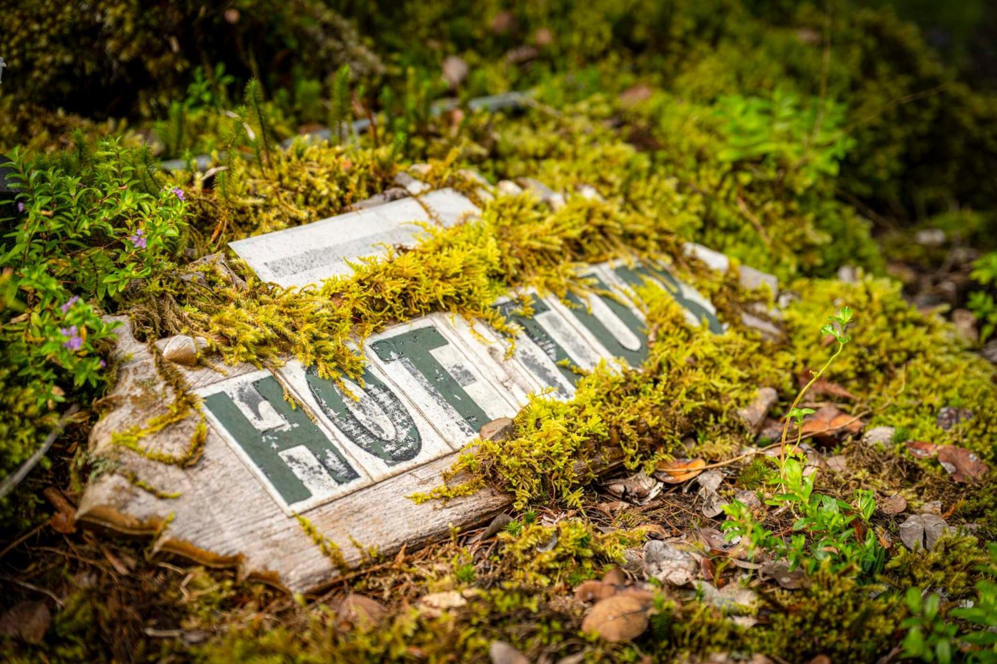 Volcano Inn Bed N Breakfast Экстерьер фото